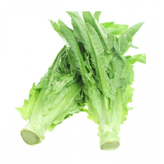 Chinese Leaf Lettuce Seeds - 200+ Count, Sword Pointed Variety, Fast Growing, Ideal for Gardens (Lactuca sativa)