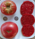 Heirloom Beefsteak Rose Seeds - Huge Pink Variety - 25 Seeds - Fresh From 2024 - Perfect for Gardeners