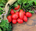 Pink Cherry Tomato Seeds - 40 Count for Planting - Heirloom Variety, Solanum lycopersicum