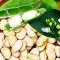 King of the Garden Lima Bean Seeds - Pole Variety, Large Green Pods, Ideal for 2025 Planting, Phaseolus lunatus