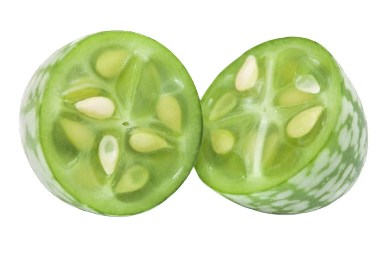 Cucamelon Seeds 20 Count - Mouse Melon, Melothria Scabra Mini Cucumber, Mexican Sour Gourd