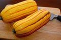 Delicata Winter Squash Seeds - Fresh Seed for Gardening - Cucurbita pepo - Non-GMO, Heirloom Variety