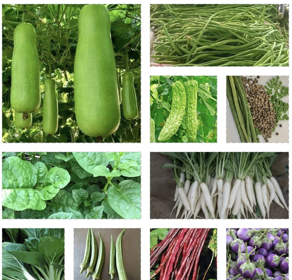 Set of 15 Asian Vegetable Seeds - Diverse Varieties for Home Gardening - Ideal for Planting and Growing.