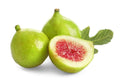 Green Ischia Fig Seeds - 100+ Count - Perfect for Garden Planting - Ficus carica - USA Grown