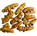 Turmeric Roots - 10PCS - Curcuma longa - Arthritis Relief, Tea & Cooking Use