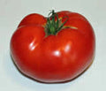 Tomato Seeds, 100 Count, Rutgers Heirloom, Non-GMO, Large Tomatoes, Solanum lycopersicum