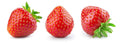 Everbearing Strawberry Seeds - 200+ Seeds - Red Fruit - Fragaria × ananassa