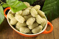 50+ White Mulberry Tree Seeds - Morus Alba - Non-GMO, Organic, Grown and Shipped Fresh