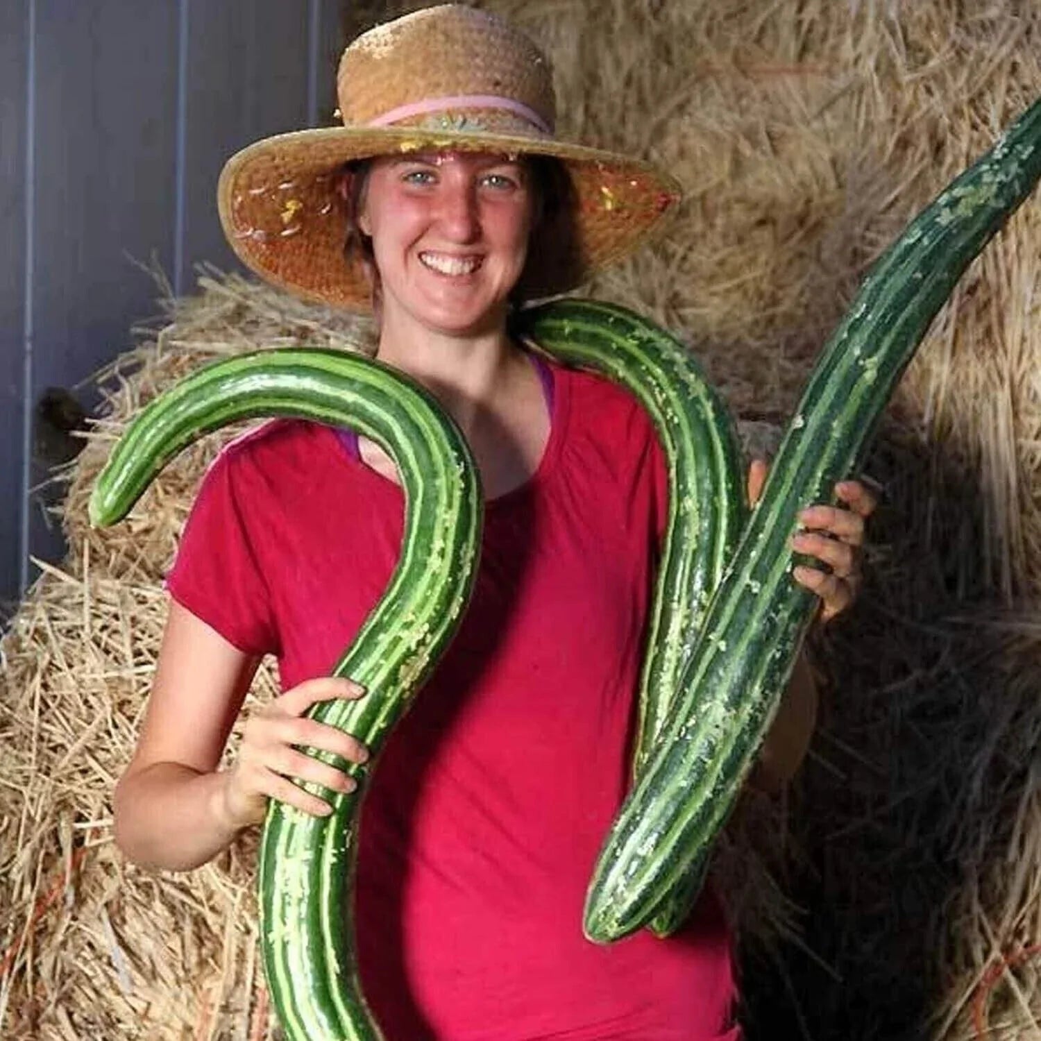 25+ Organic Painted Serpent Cucumber Seeds - Heirloom, Non-GMO, Rare Variety - Cucumis sativus