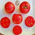 Eva Purple Ball Seeds - Heat Resistant - 25 Seeds - Solanum lycopersicum - Perfect for Home Gardening