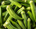 Clemson Spineless Okra Seeds 50+ Pack - Summer Vegetable Garden Culinary Seeds