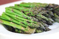 Asparagus Seeds - 25 Heirloom Seeds - Mary Washington Variety - Healthy Vegetable Gardening