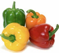 Rainbow Bell Pepper Seeds Mix - 15+ Variety Pack - Capsicum annuum - Heirloom Seeds for Home Garden