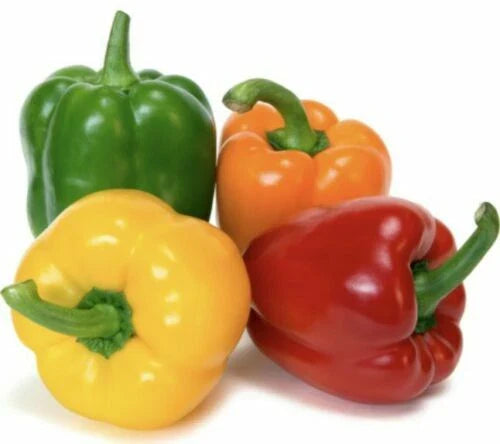 Rainbow Bell Pepper Seeds Mix - 15+ Variety Pack - Capsicum annuum - Heirloom Seeds for Home Garden