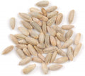 Rye Berries 8 OZ | High Fiber and Iron | Whole Grain Nutrition | Secale cereale
