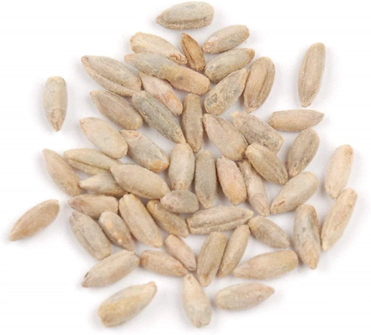 Rye Berries 8 OZ | High Fiber and Iron | Whole Grain Nutrition | Secale cereale