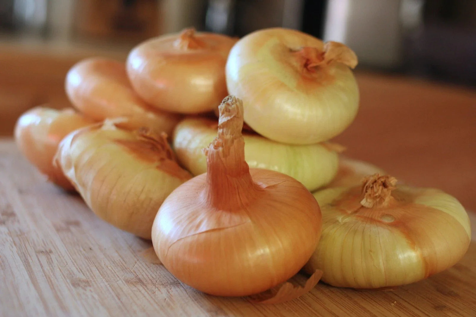 Yellow Cipollini Onion, NON-GMO, Cipollini Giallo, Italian Onion, Free Shipping