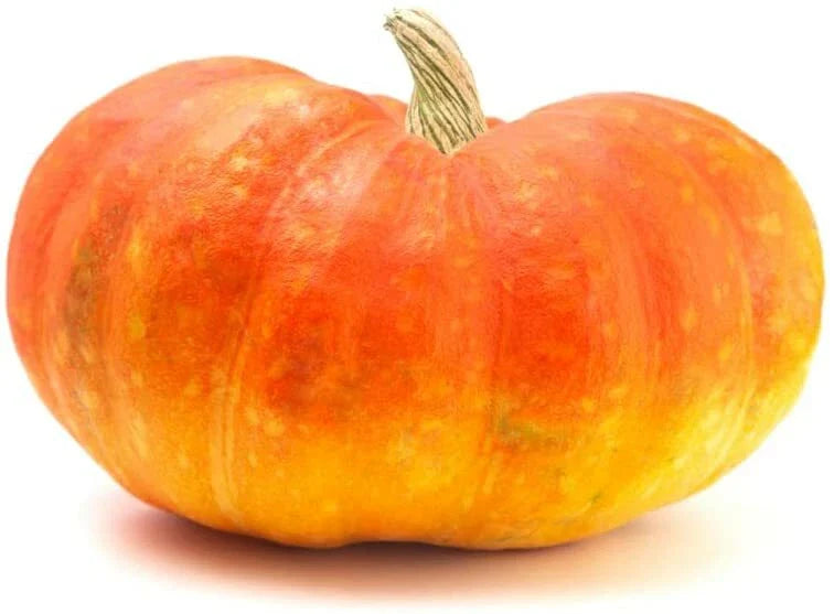 Cinderella Pumpkin Seeds 20 Pack - Heirloom Variety for Planting (Cucurbita pepo)