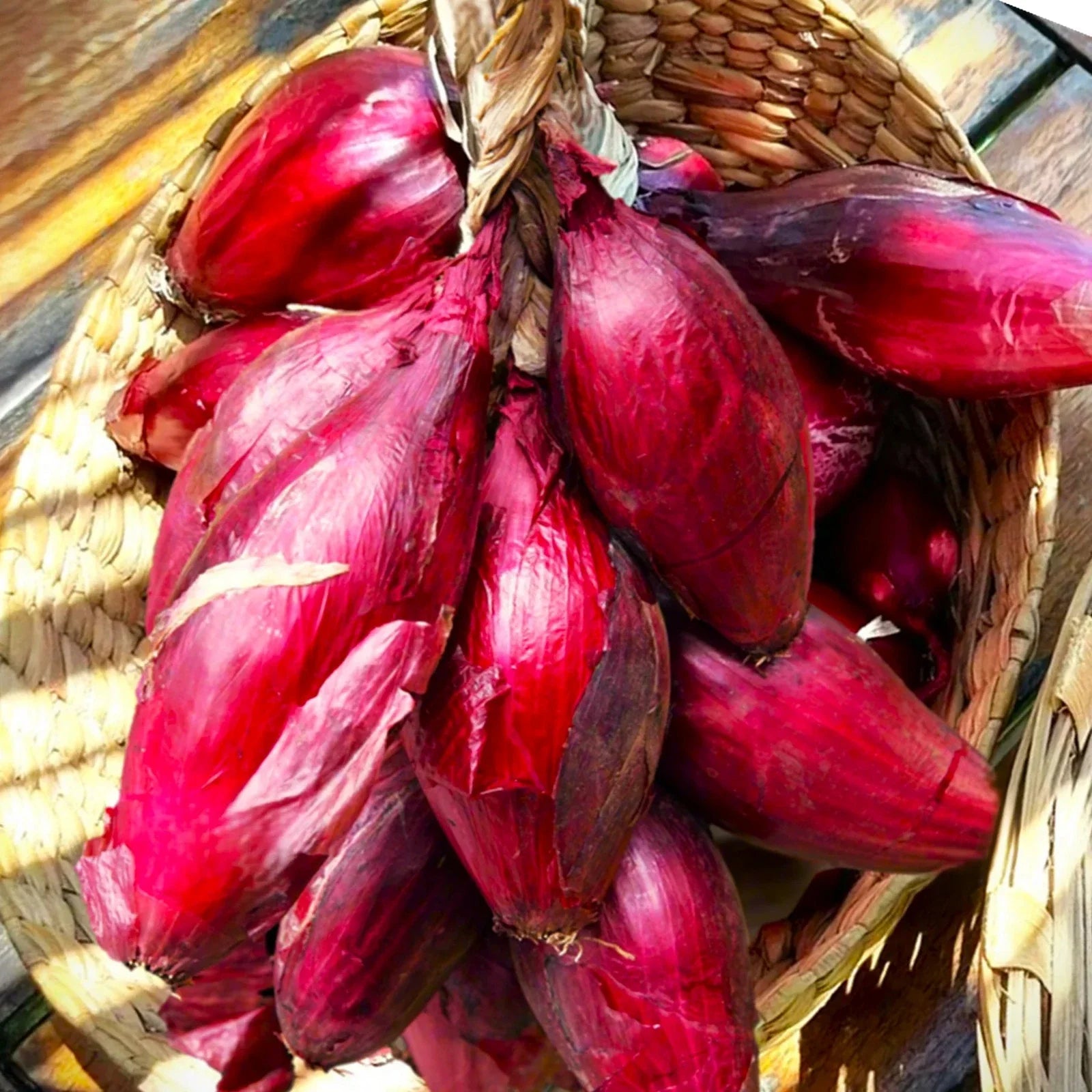 Red Tropea Onion Seeds - Italian Cipolla Rossa Di Torpea - Non-GMO for 2025 Planting