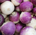 Turnip Seeds for Planting - Purple Top Variety - Non-GMO Heirloom - Brassica rapa