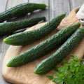 Suyo Long Cucumber Seeds - 25+ Heirloom Non-GMO Organic - Rare Variety - Cucumis sativus
