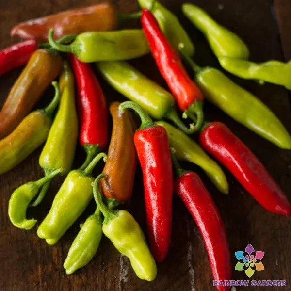Italian Pepperoncini Sweet Pepper Seeds - 25+ Pack - Perfect for Garden - Capsicum annuum