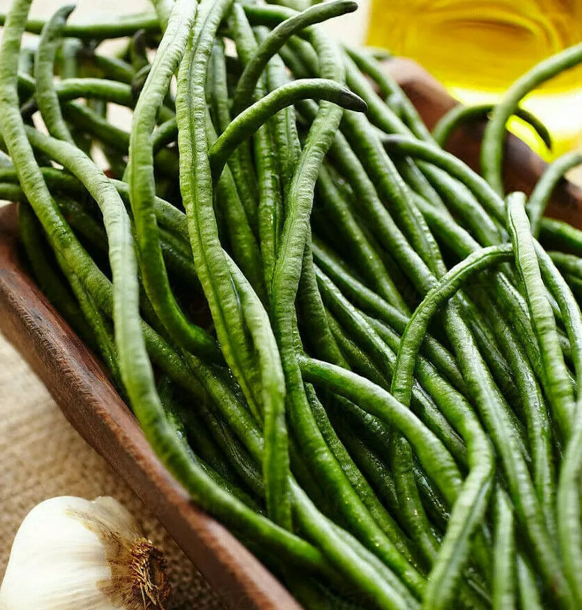 Dark Green Yard Long Bean Seeds - USA Asparagus Beans, Asian Chinese Edamame (Vigna unguiculata) 2025