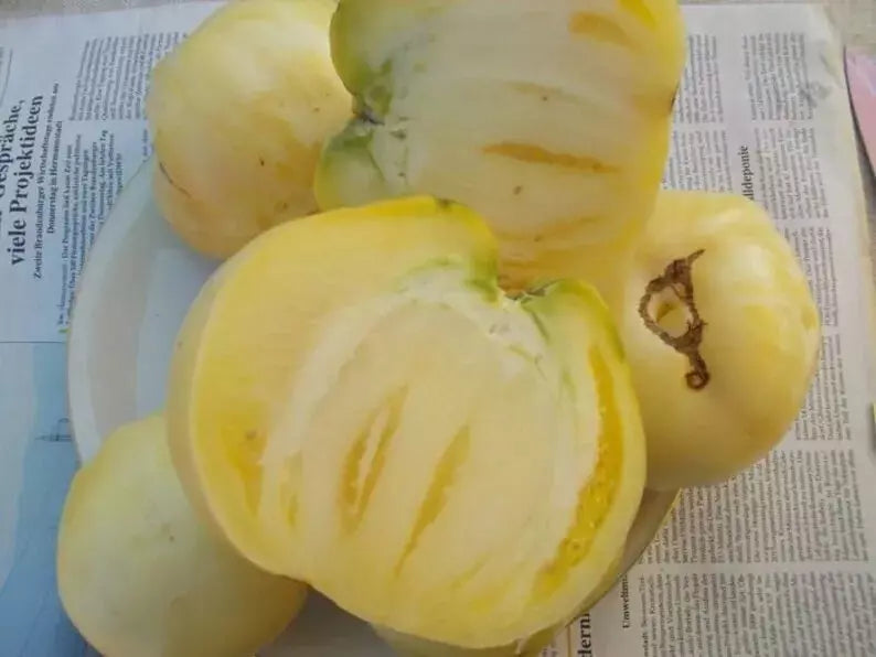 Great White Tomato Seeds - 120+ Heirloom Organic Beefsteak - Rare Variety - Lycopersicon esculentum