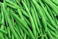 String Bean Seeds – Blue Lake Variety, 50+ Non-GMO Heirloom Seeds, Made in USA