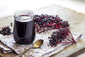 Fresh Elderberry Cuttings - 5 Black Bearing Plants - Sambucus nigra - Ideal for Home Gardening and Landscaping