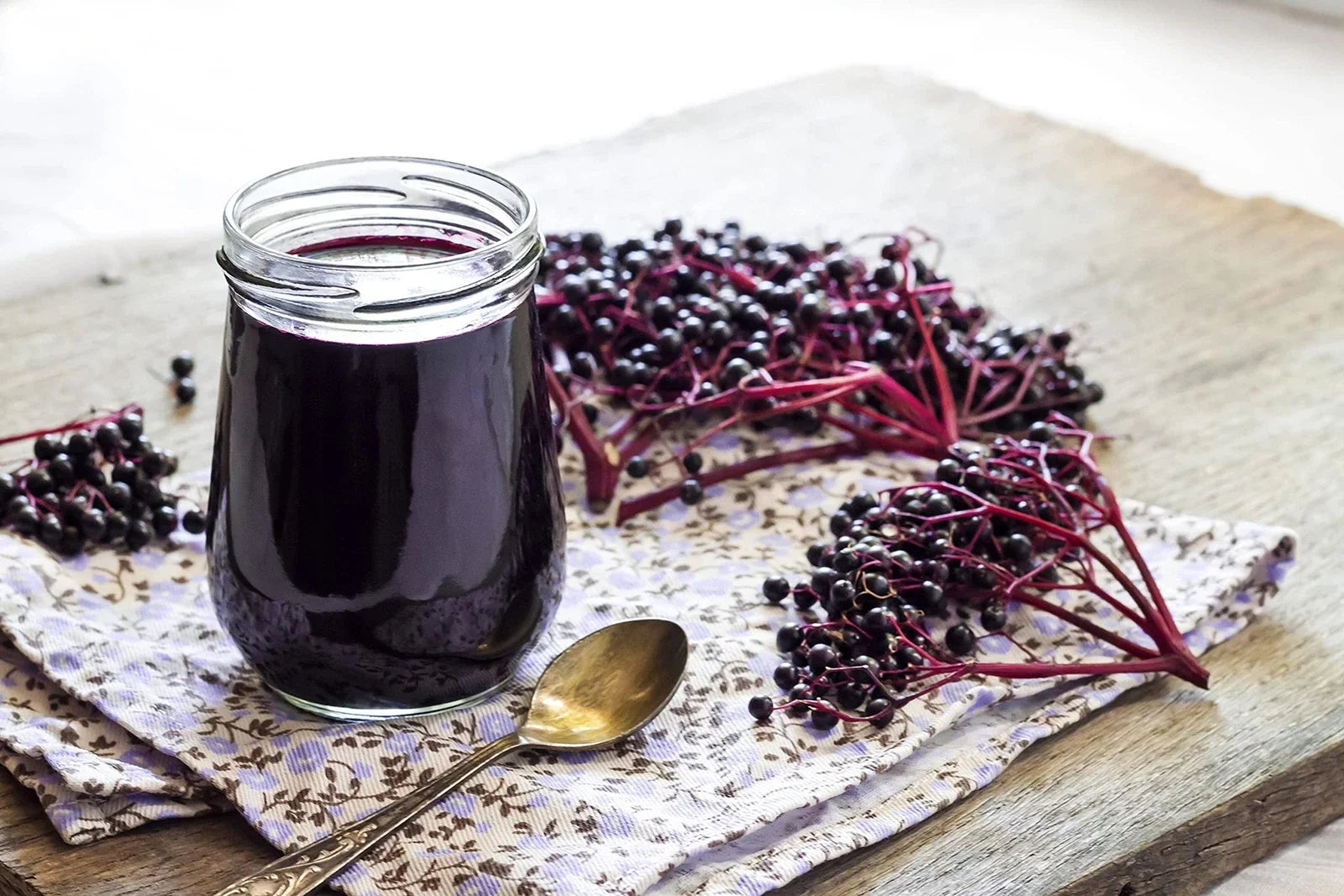 Fresh Elderberry Cuttings - 5 Black Bearing Plants - Sambucus nigra - Ideal for Home Gardening and Landscaping