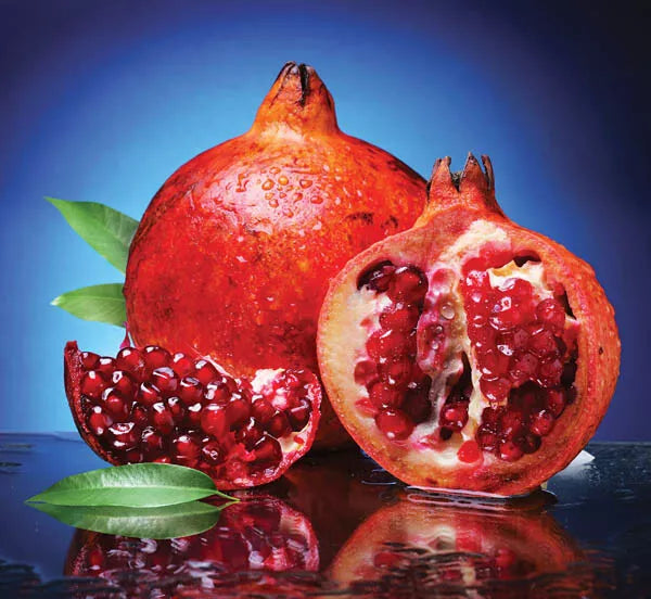 Pomegranate Tree Cuttings 5+3 Wonderful Scions for Rooting Grafting (Punica granatum)