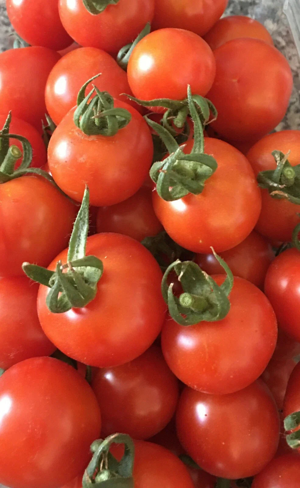 Organic Red Sweetie Cherry Tomato Seeds - 100+ Count (Lycopersicon) - Heirloom Fruit Vegetable Seeds - USA Grown