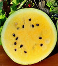 Yellow Sweet Early Moonbeam Watermelon Seeds - Heirloom Non-GMO - 10+ Seeds, Cucumis melo