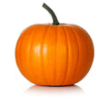 Hijinks Pumpkin Seeds - 25+ Seeds for Garden Planting - Cucurbita pepo - USA Grown, Non-GMO, Free Shipping