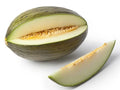 Early Valencia Melon Seeds - 12+ Heirloom Organic Honeydew - Citrullus lanatus