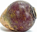Rutabaga Seeds 500+ Count American Purple Top Non-GMO Brassica napus