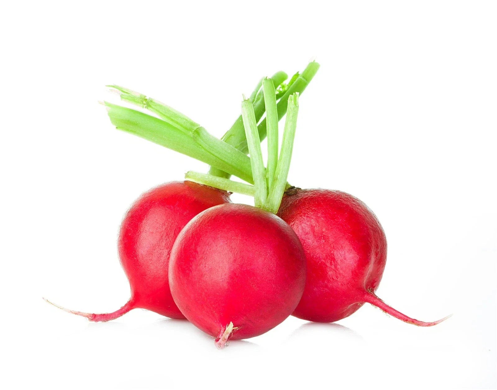 Crimson Giant Radish Seeds - 200 Non-GMO Organic Heirloom Seeds (Raphanus sativus)