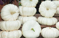 Moon Light F1 Pumpkin Seeds - Fresh Pumpkin Seed Variety - High-Quality Gardening Seeds for Planting