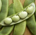 Fordhook 242 Lima Bean Seeds | Treated Butter Pea Fava Vegetable Seed | Phaseolus lunatus | New 2025