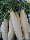 Daikon Radish Seeds - 200+ Heirloom Organic Non-GMO Japanese Minowase - Vegetable Garden Planting