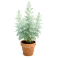 Wormwood Absinthe Seeds - 3000+ Perennial Mosquito Pest Repellent Seeds - Artemisia absinthium