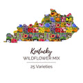 Wildflower Seed Mix - Kentucky State Blend - 25 Types - Perennial & Annual - Non-GMO - 1000 Seeds