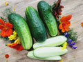 Wisconsin SMR-58 Cucumber Seeds - 200+ Heirloom Organic Non-GMO Pickling Variety