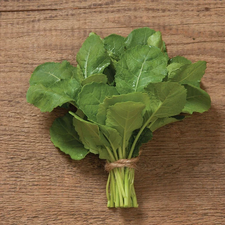 Ethiopian Kale Seeds - Non-GMO Heirloom Brassica Carinata - Premium Quality, Tracking Included