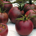 Chocolate Cherry Tomato Seeds - 10+ Heirloom Organic Seeds - Super Sweet Variety - RARE Heirloom Tomato
