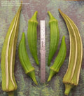 Louisiana Longhorn Cowhorn Okra Seeds - Heirloom, Non-GMO, Fresh - 100+ Seeds, Abelmoschus esculentus