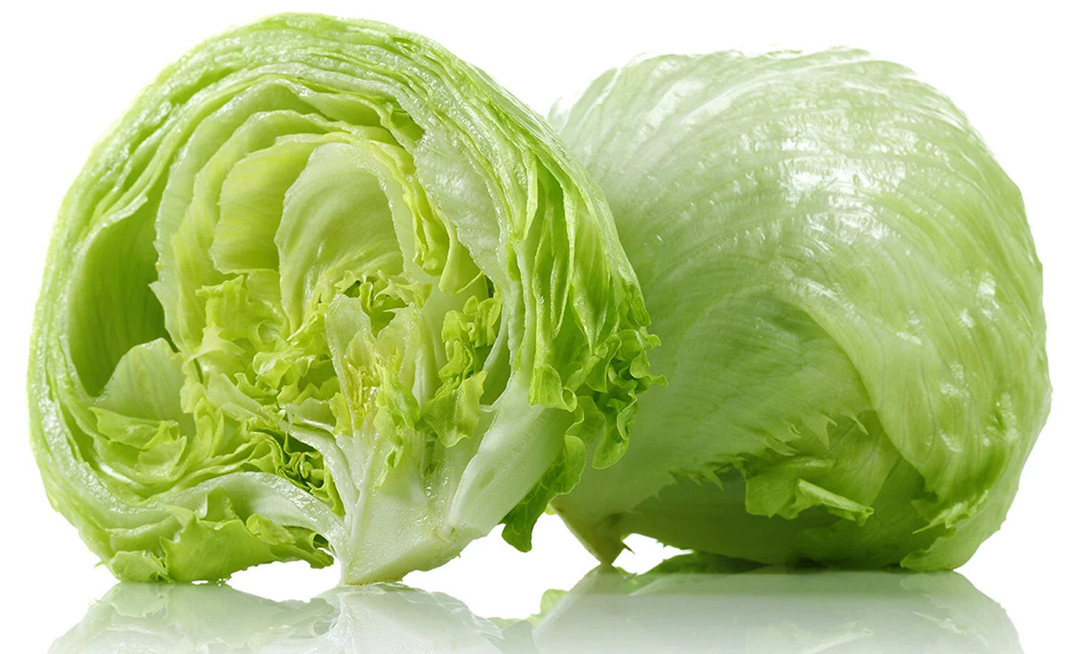Crisphead Iceberg Lettuce Seeds - 1200+ Non-GMO Fresh Garden Seeds - USA Grown, Organic Variety