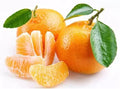 Edible Orange Tree Seeds, 10 Count, Grow Delicious Oranges, Citrus sinensis - Ships from Iowa