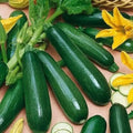 50 Black Beauty Zucchini Squash Seeds - Heirloom, Non-GMO, Organic - Cucurbita pepo